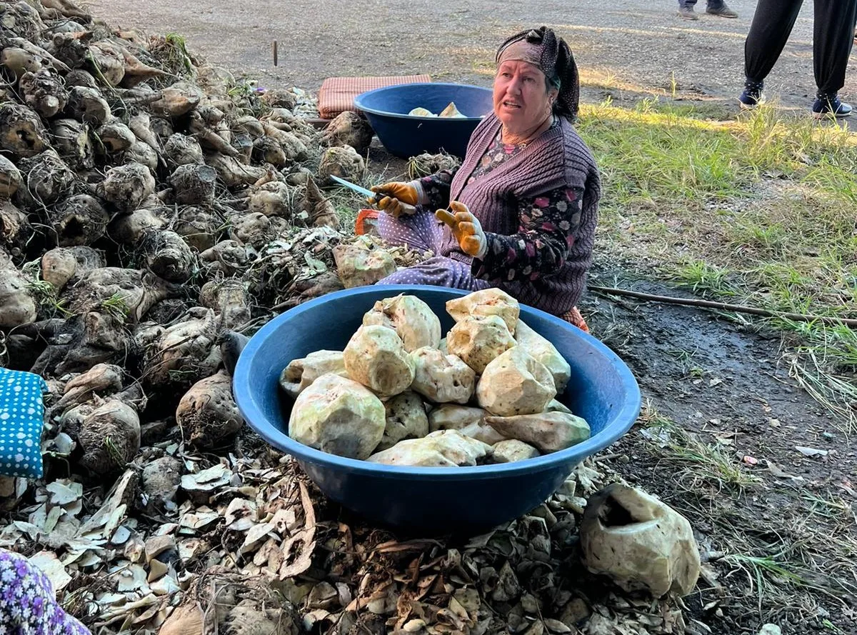 KURTBEY KÖYÜ KADINLARI KOOPERATİFİ KURULDU